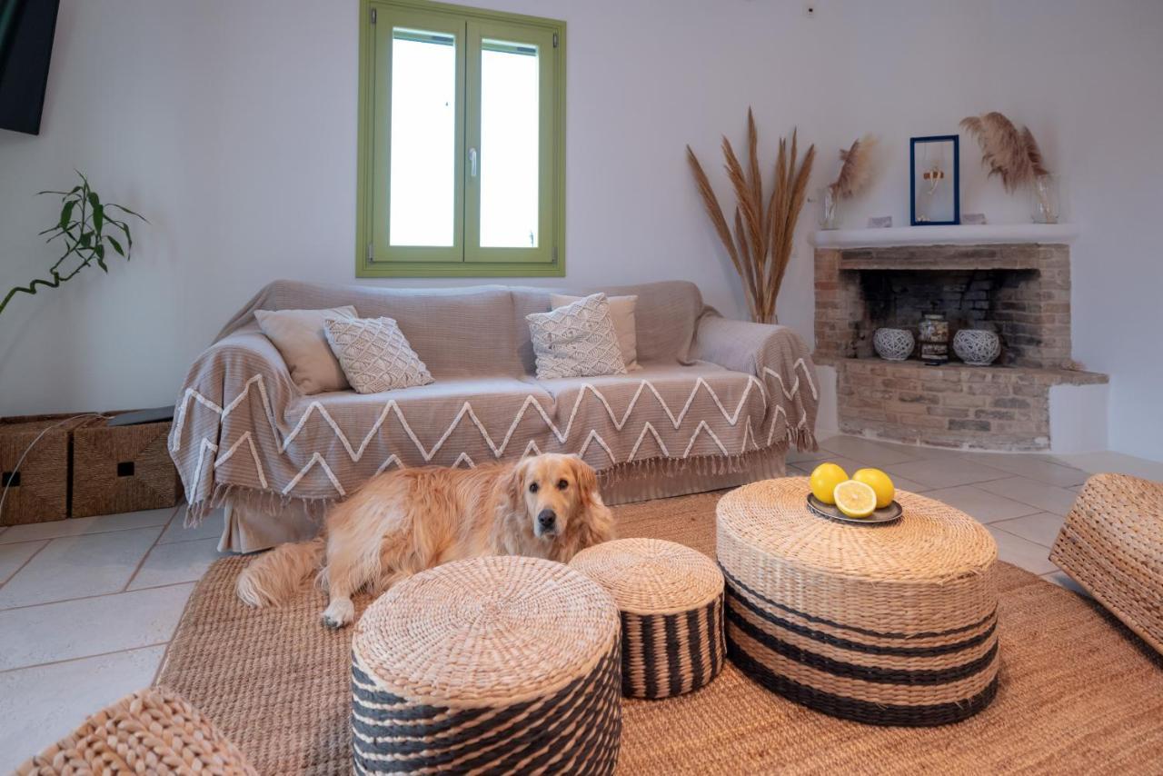 Ventu Paros Villa Marpissa ภายนอก รูปภาพ