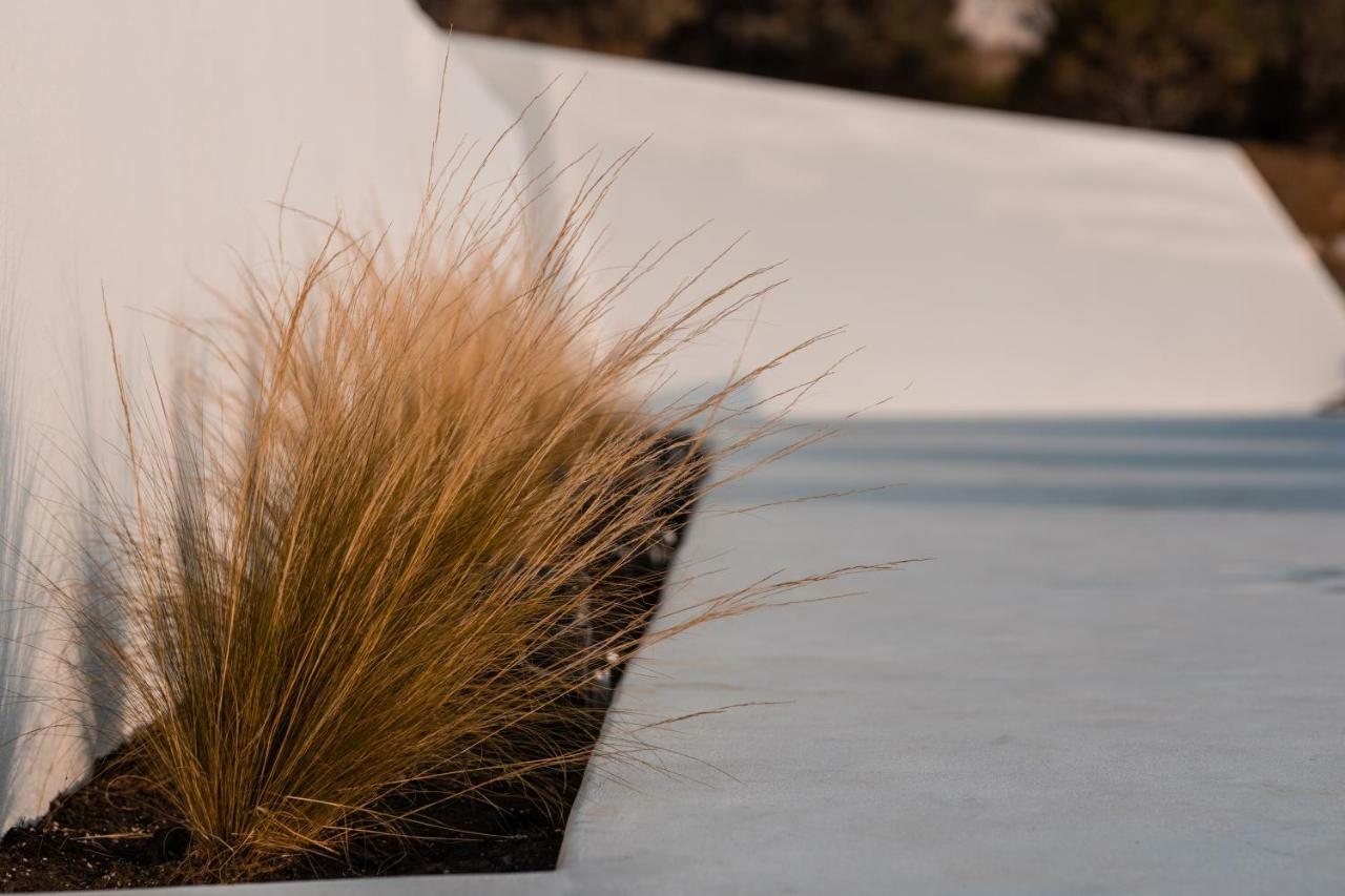 Ventu Paros Villa Marpissa ภายนอก รูปภาพ